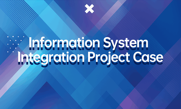 Information System Integration Project Portfolio